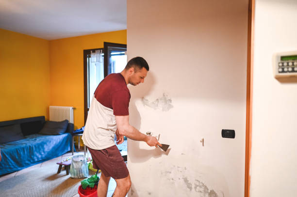 Best Crawl Space Mold Remediation in Linden, CA